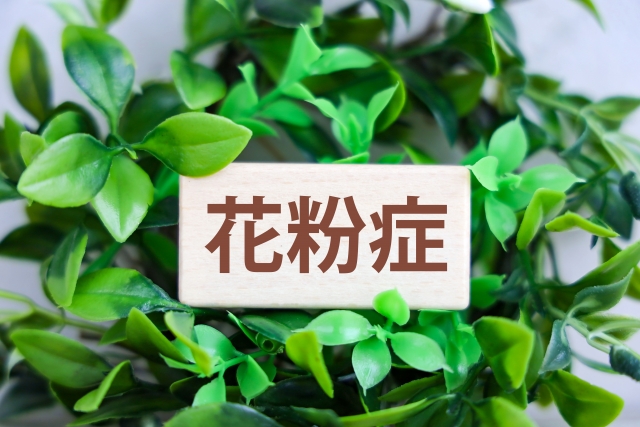 花粉症が悪化した話